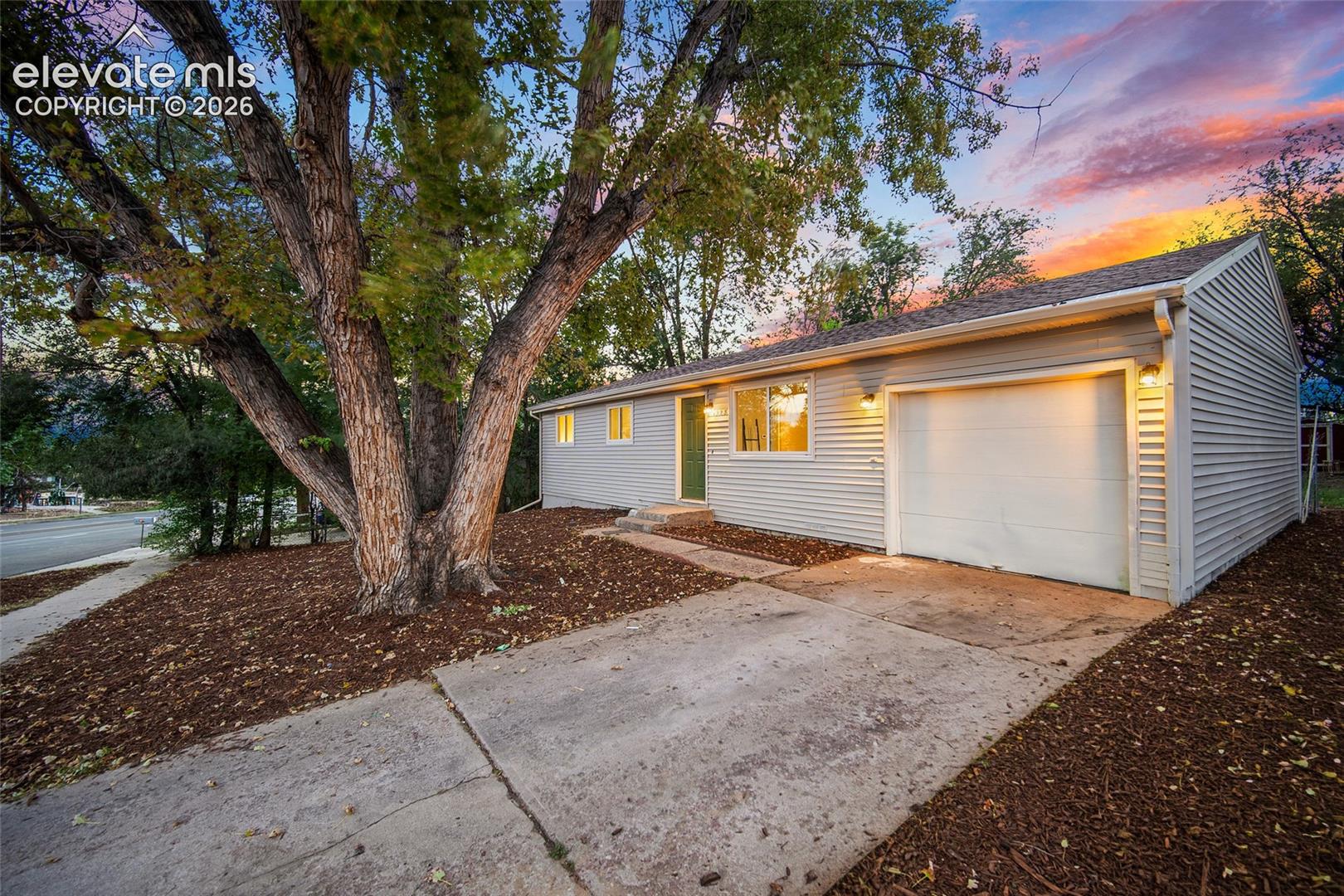 Single-level residence with light-colored siding, an attached garage, a concrete driveway, and a mature tree