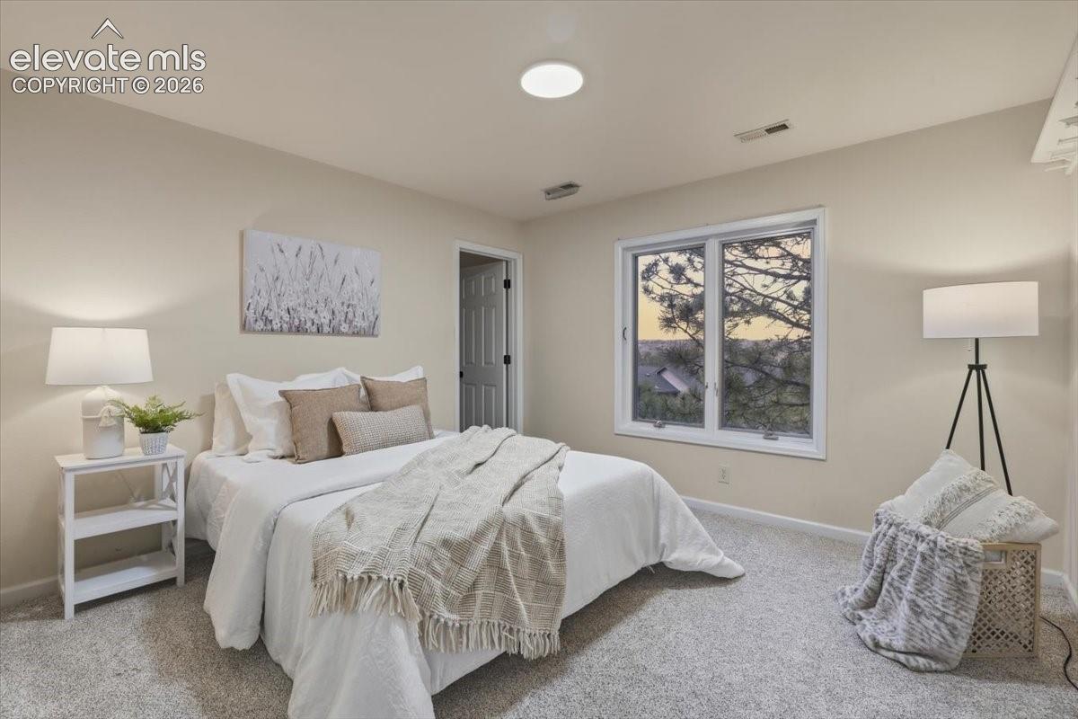 Neutral-toned walls complement the light gray carpeting