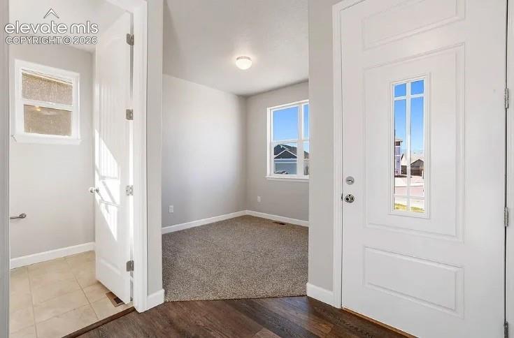 Entryway featuring a white door with a vertical glass inset, wood-finish flooring, neutral wall paint, tiled flooring, and carpeted interior carpeting