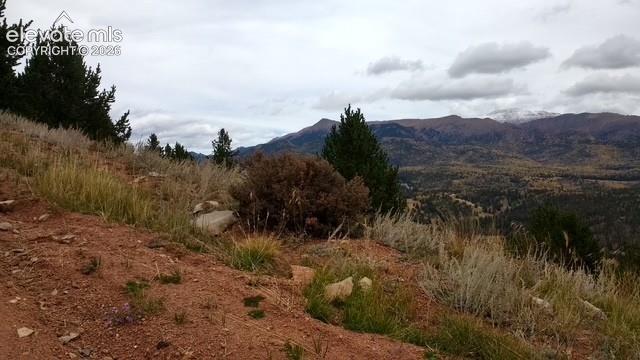 0 Highway 67, Cripple Creek, CO 80813