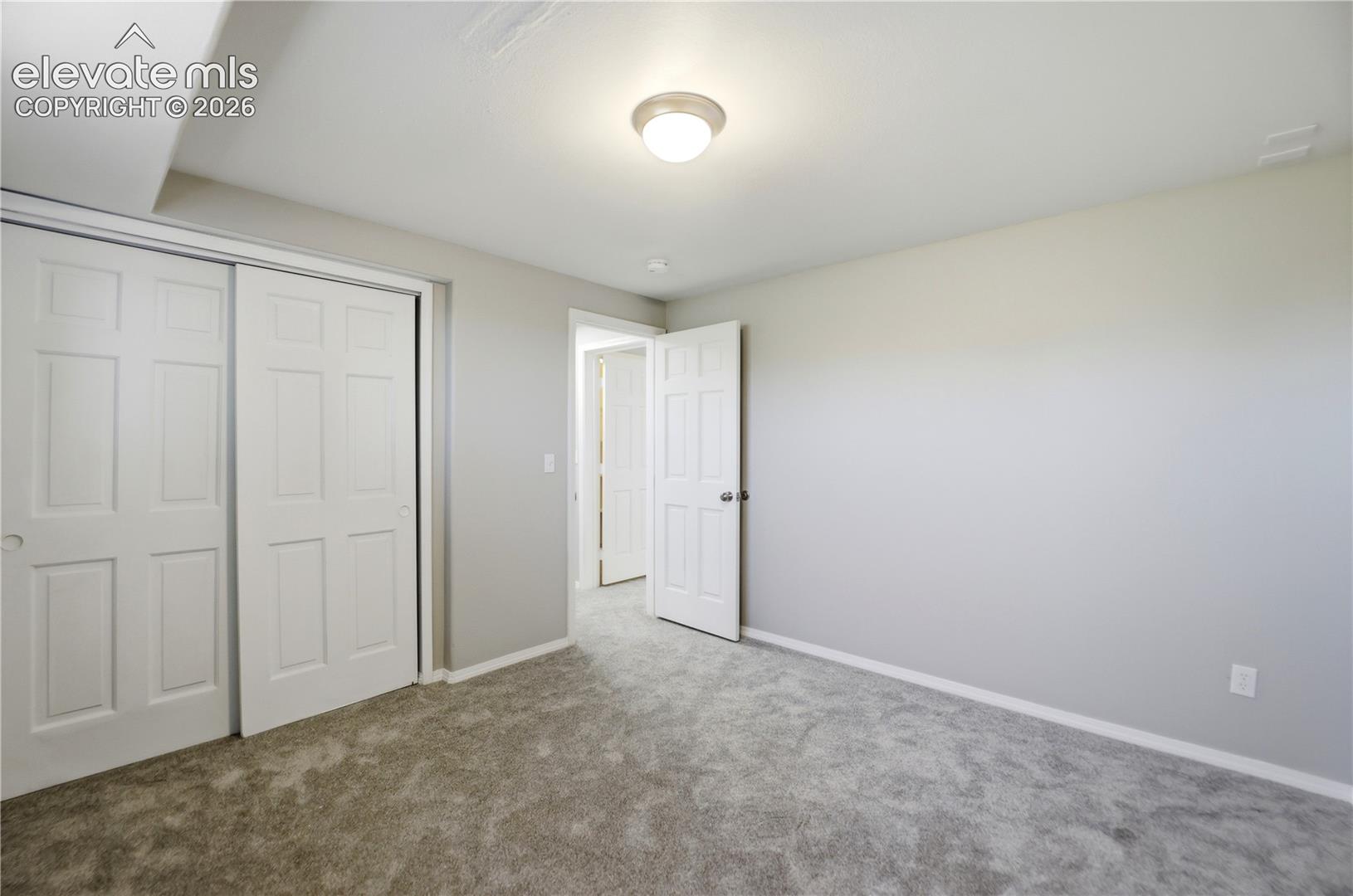 Carpet