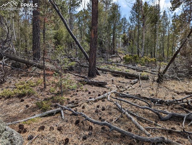 1620 Park Ridge Dr, Guffey, CO 80820