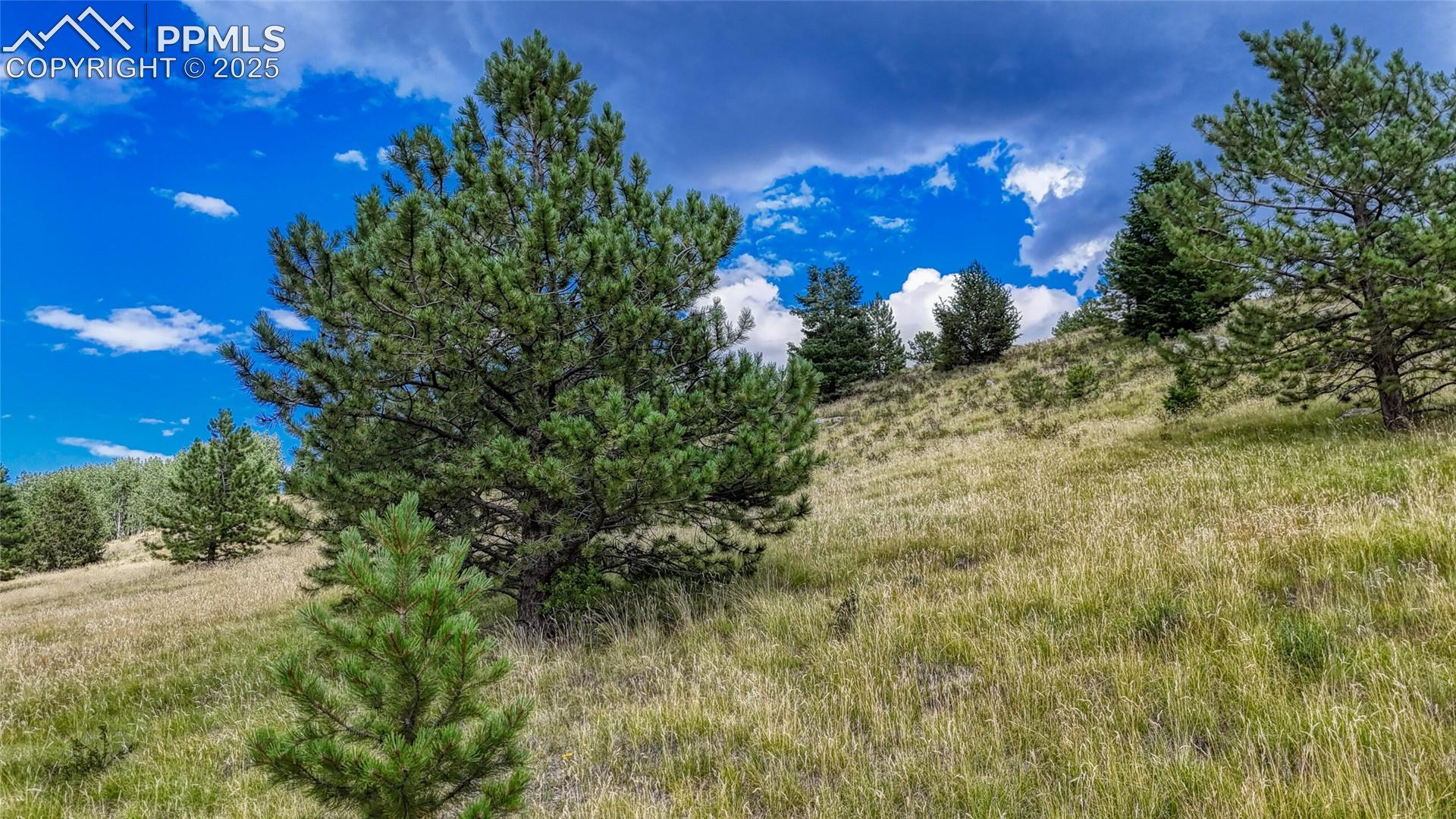 Photo 26 of 972 Anges Drive, Cripple Creek
