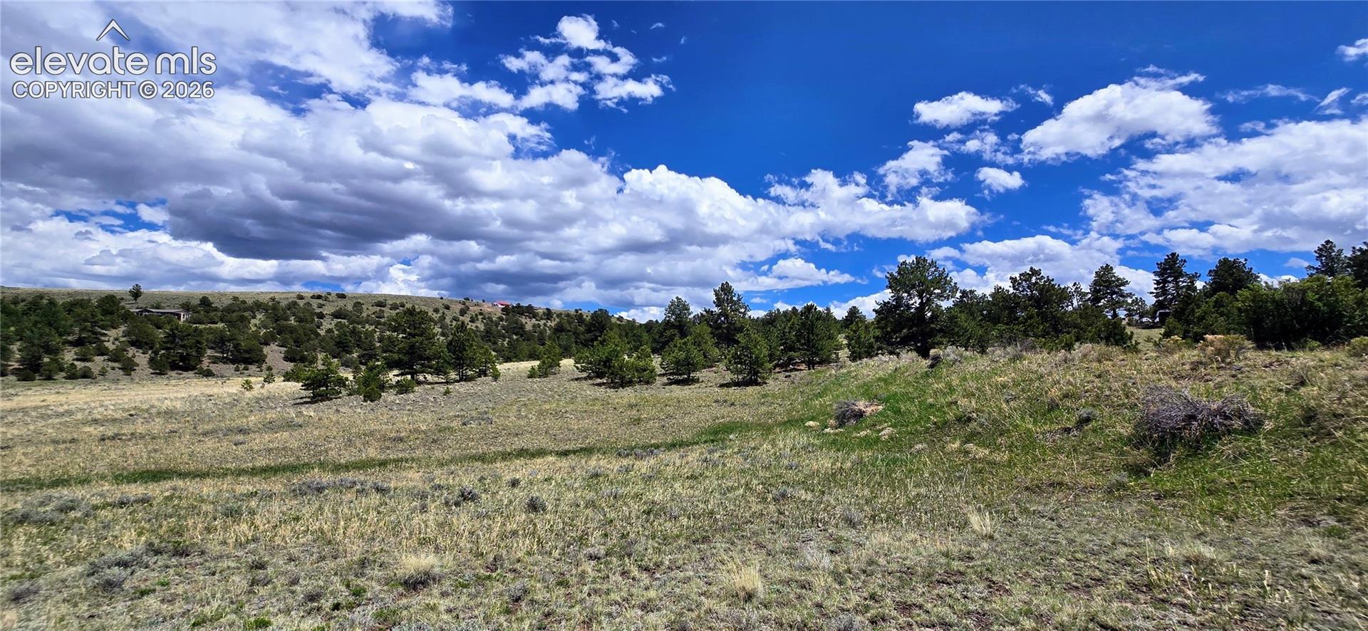 Expansive land parcel featuring open grasslands, diverse tree coverage, and varying topography