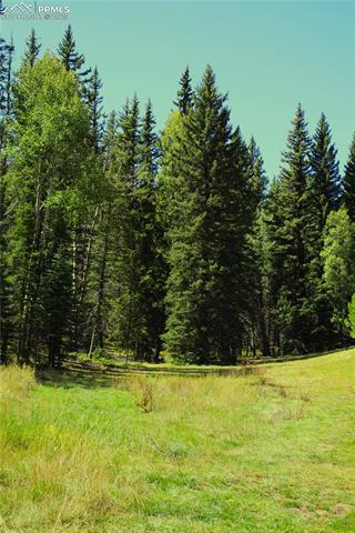 View of wooded area