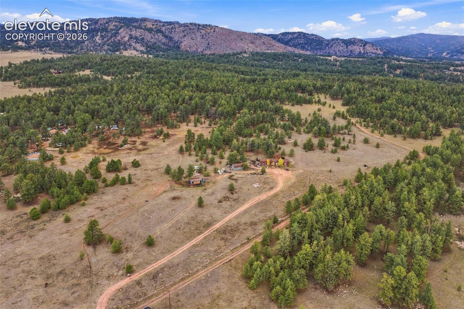 Expansive acreage featuring mature pine forest, native grasslands, and elevated mountain backdrops, accessible via a private dirt road