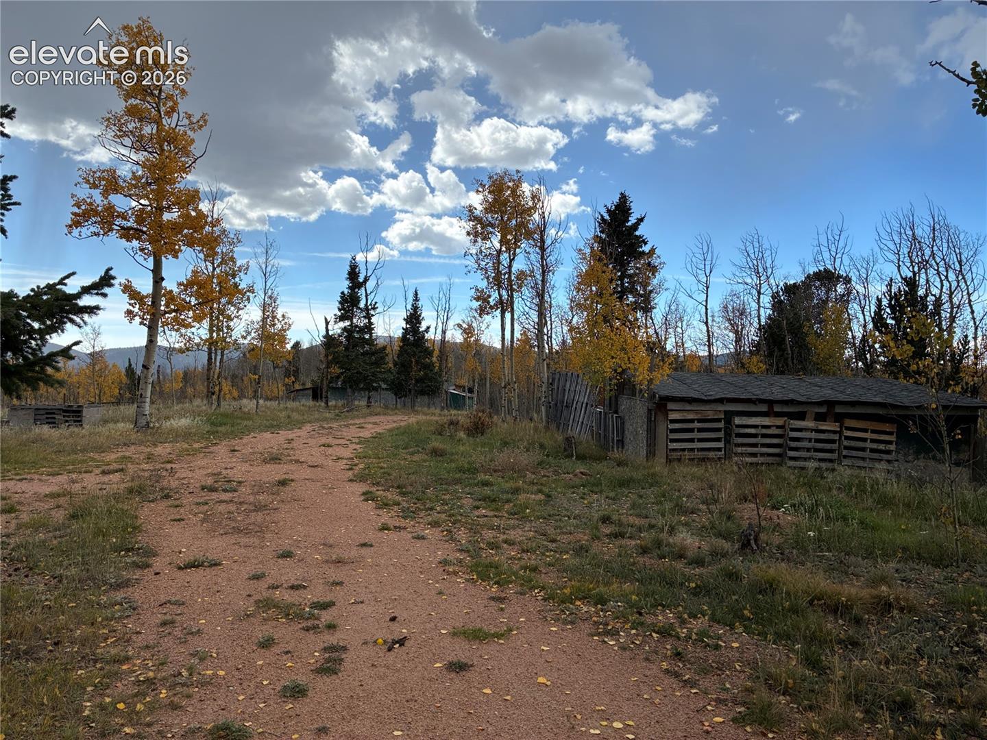 Expansive acreage featuring a dirt driveway, mature aspen and evergreen trees, and a wooden outbuilding