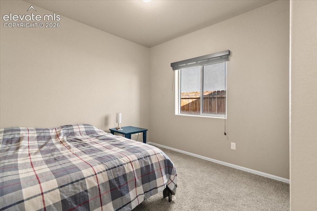 Neutral wall paint, window with roller shade, and carpeted flooring