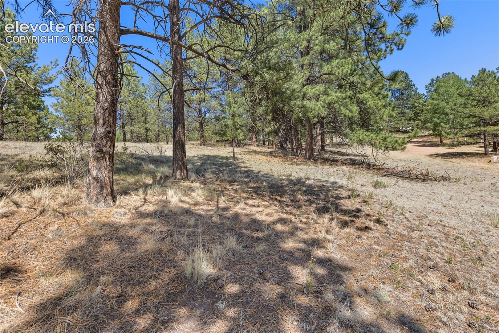 349 Rhyolite Ln, Florissant, CO 80816