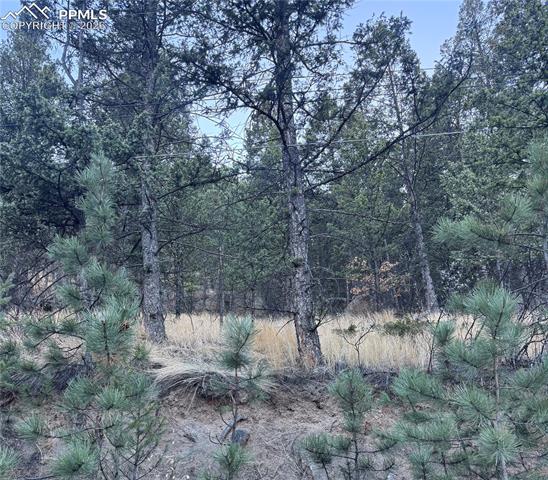Lot 13 Harrison St, Green Mountain Falls, CO 80819
