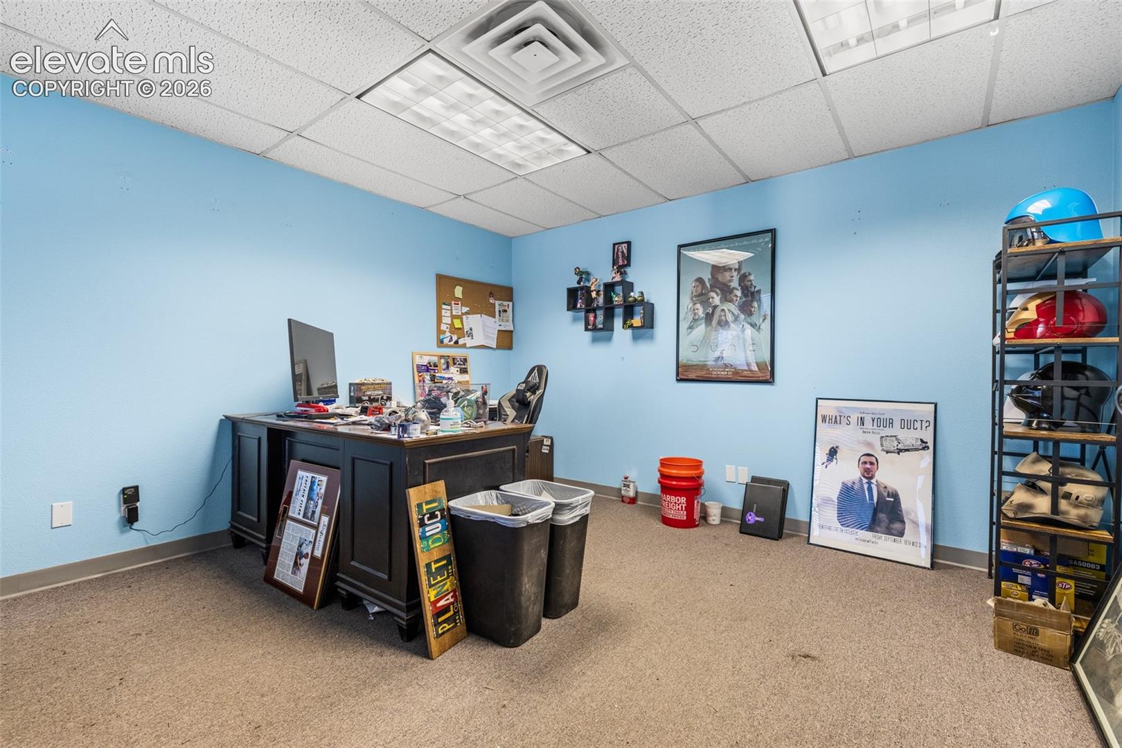 Interior room featuring a drop ceiling with recessed fluorescent lighting and neutral carpeting