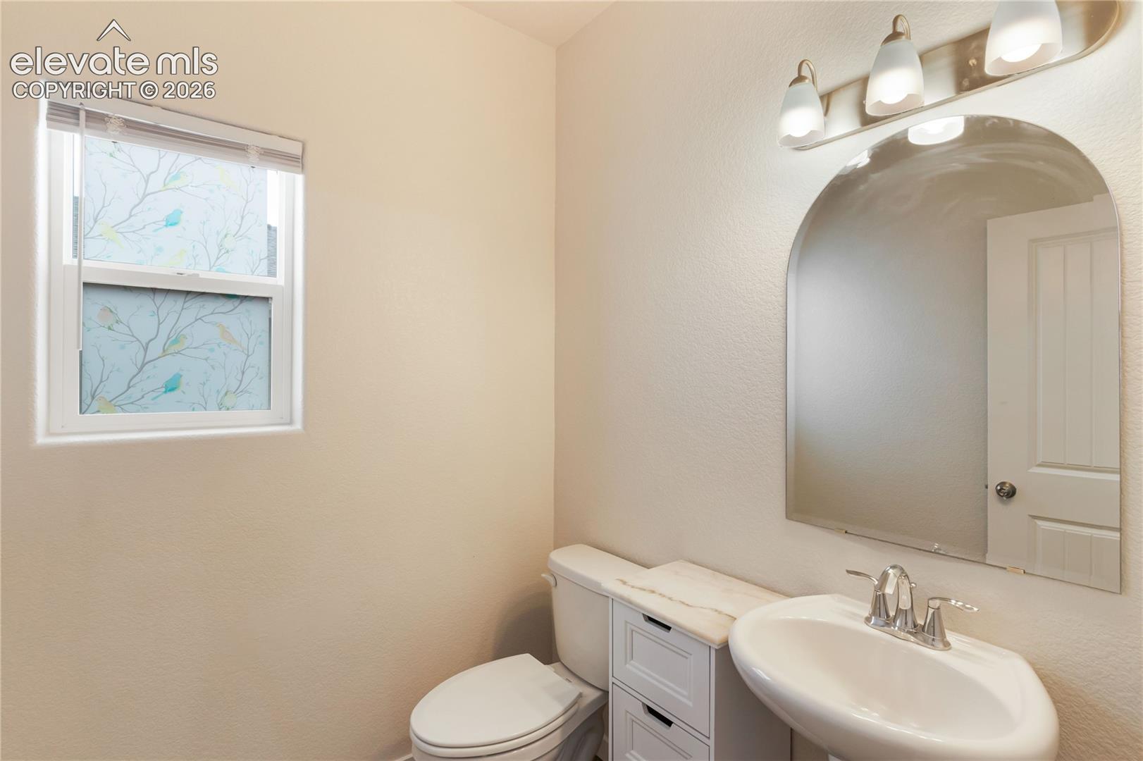 Photo 21 of 7352 Bigtooth Maple Drive, Colorado Springs