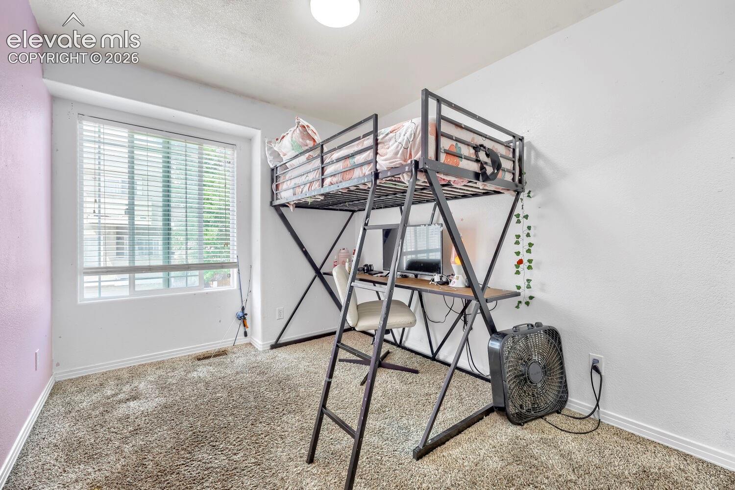 Window with blinds, carpeted flooring, and a ceiling-mounted light fixture