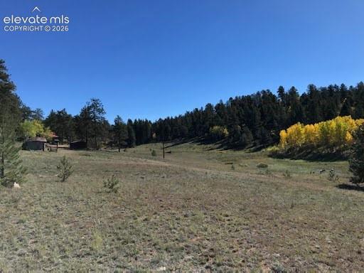 Expansive natural landscape featuring rolling terrain, clusters of mature evergreen trees, and native deciduous foliage