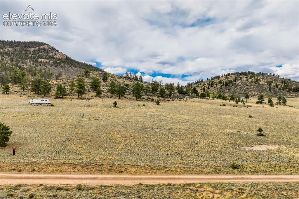 SW corner of meadow lot