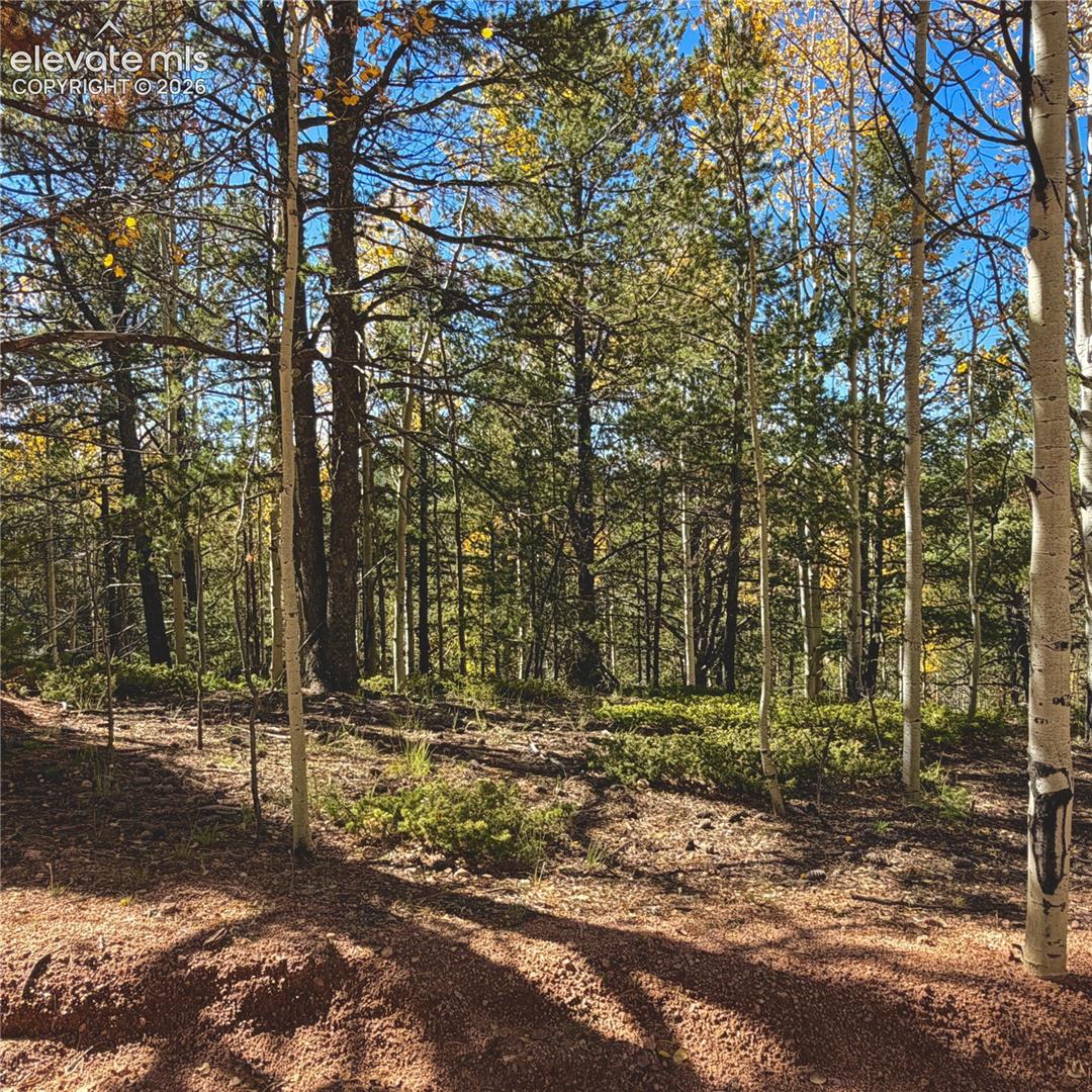 Photo 11 of 773 Timber Ridge Road, Divide