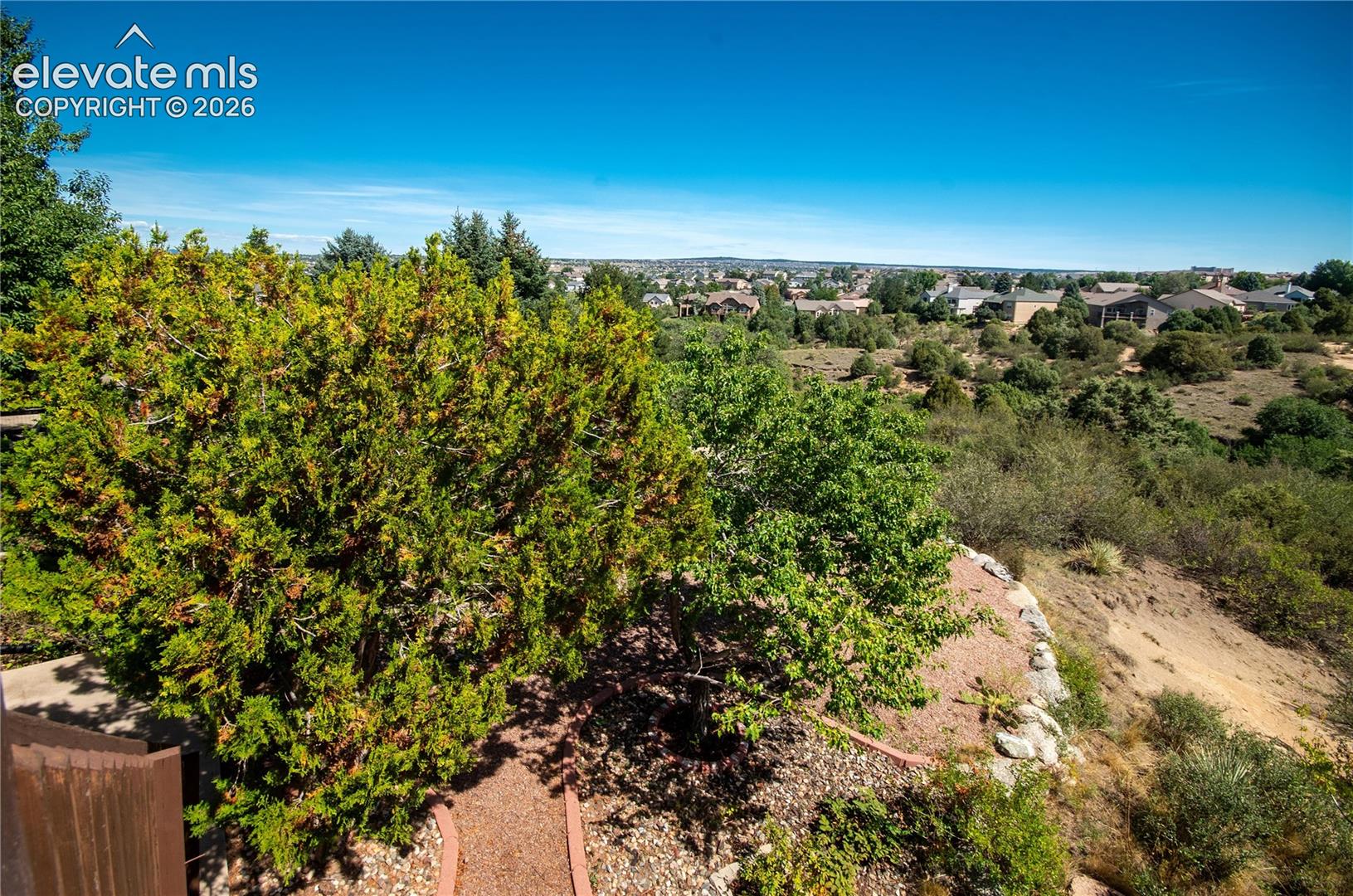 Photo 36 of 6151 Treeledge Drive, Colorado Springs