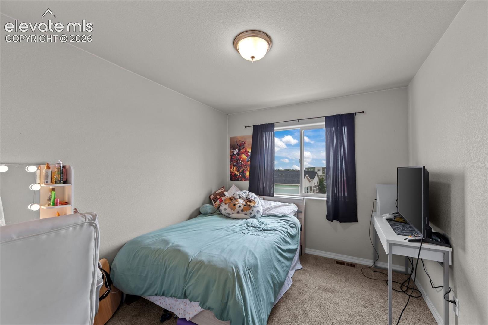 Carpeted flooring, window with exterior building visibility, and ceiling-mounted light fixture