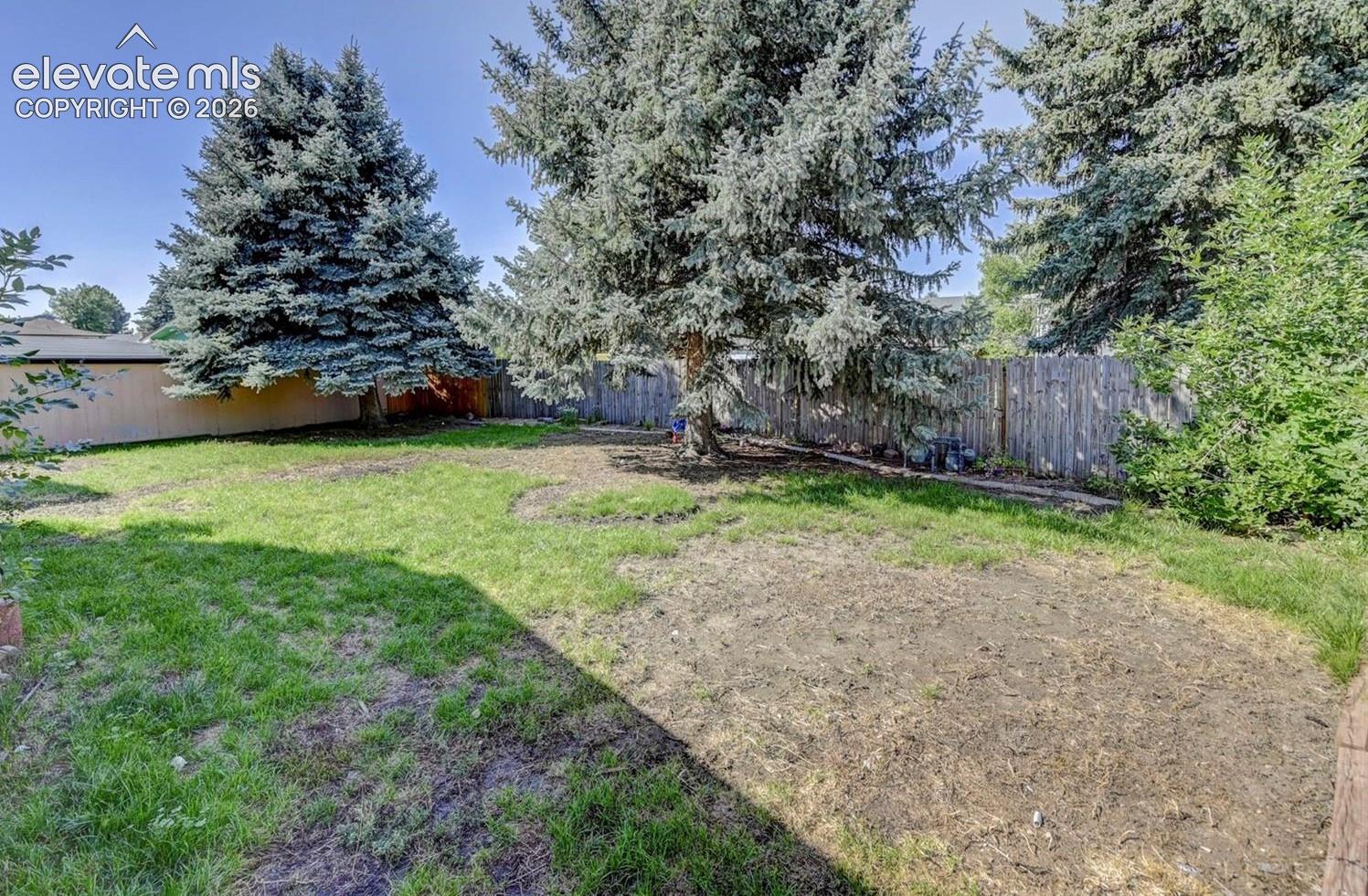 Private backyard featuring mature evergreen trees and vertical wood privacy fencing