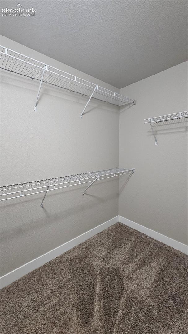 Photo 41 of 7773 Dry Willow Way, Colorado Springs
