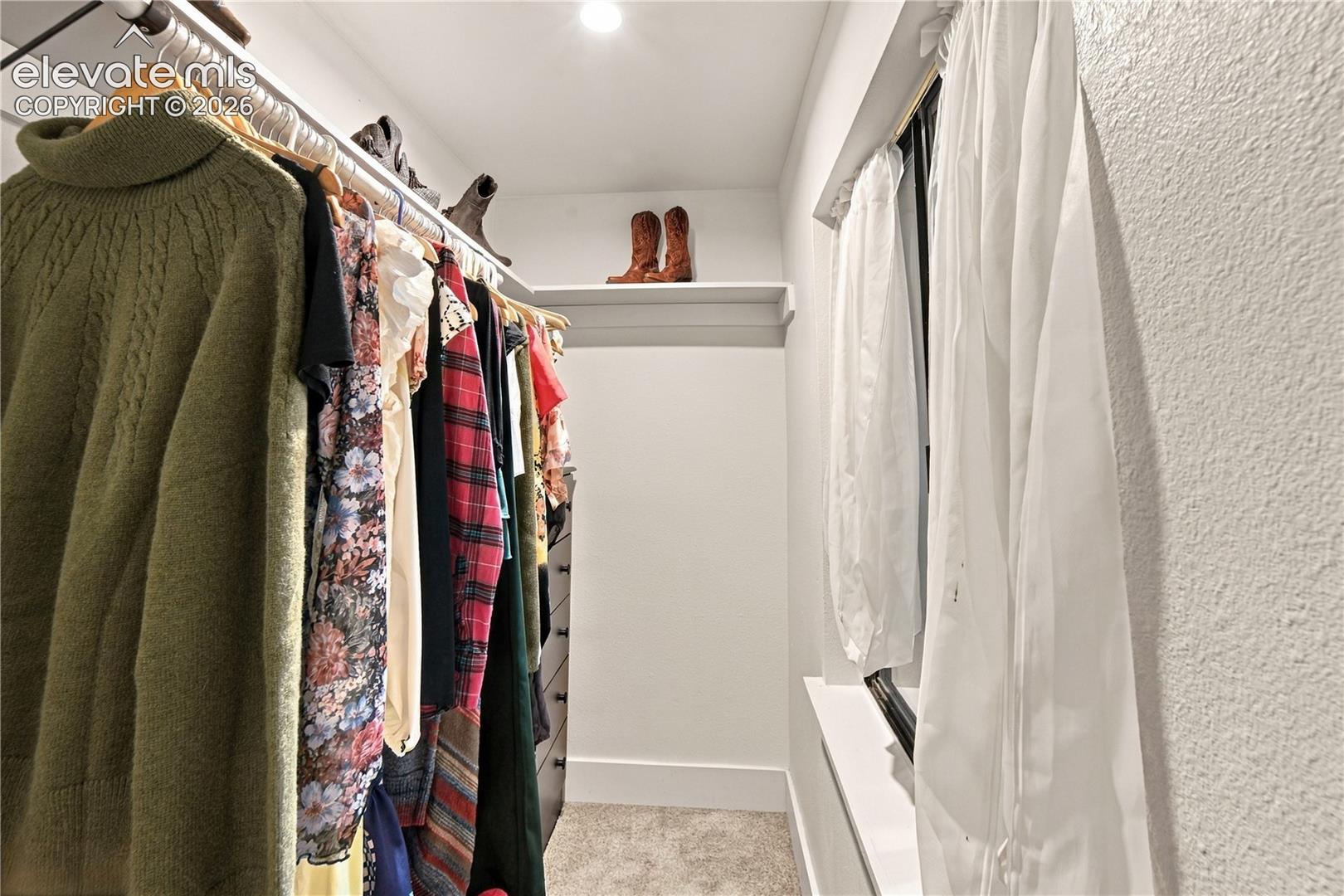 Walk-in closet featuring wall-to-wall carpeting, overhead recessed lighting, built-in shelving, and a window with a deep sill