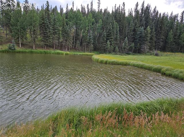 Private HOA Community Fishing Pond