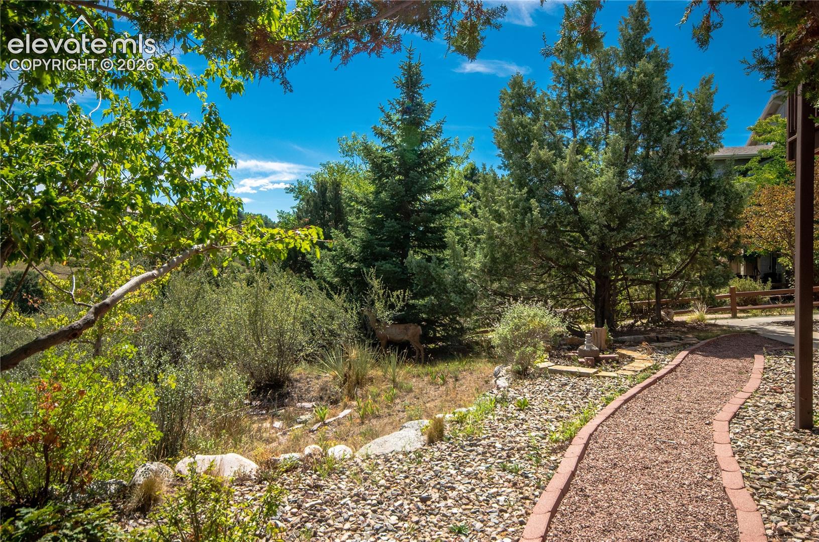 Photo 39 of 6151 Treeledge Drive, Colorado Springs