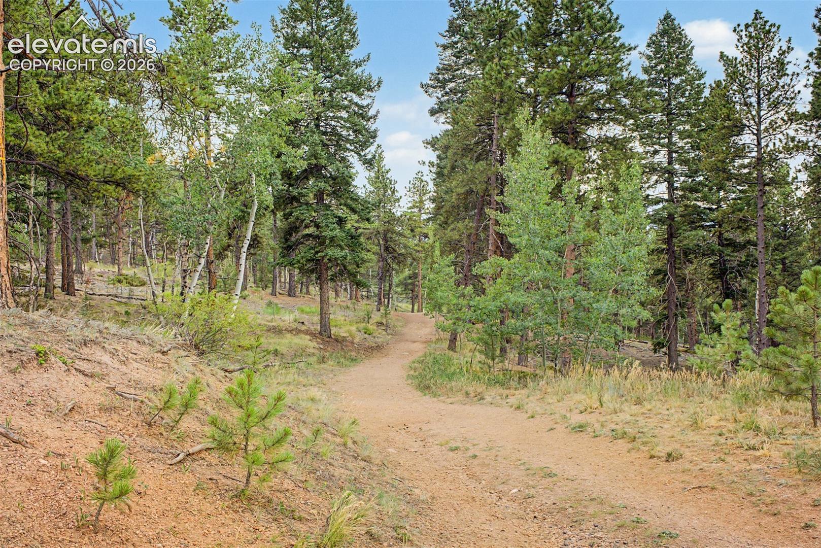 Photo 44 of 1015 Locklin Way, Woodland Park
