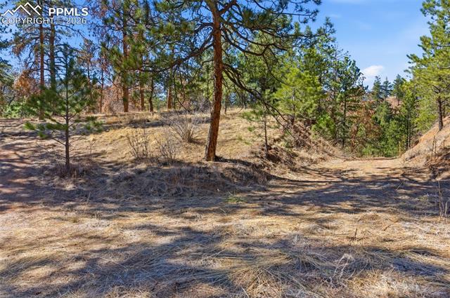 Easement off of Packard. Not public property. Approval needed to use.