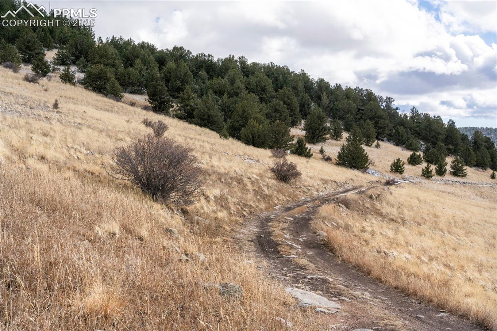 Photo 7 of Private Road, Cripple Creek