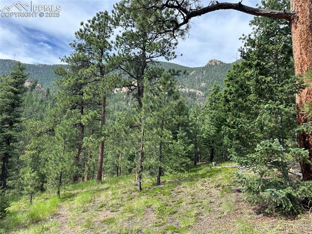 Mountain View from build site