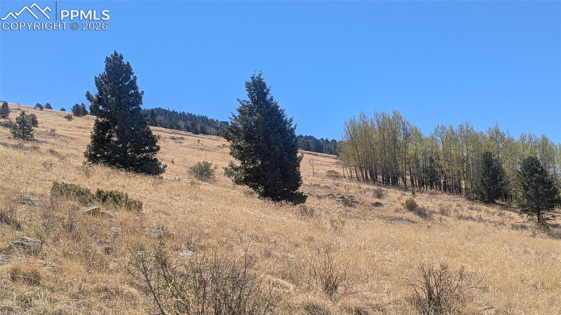 1960 Troy Dr, Cripple Creek, CO 80813