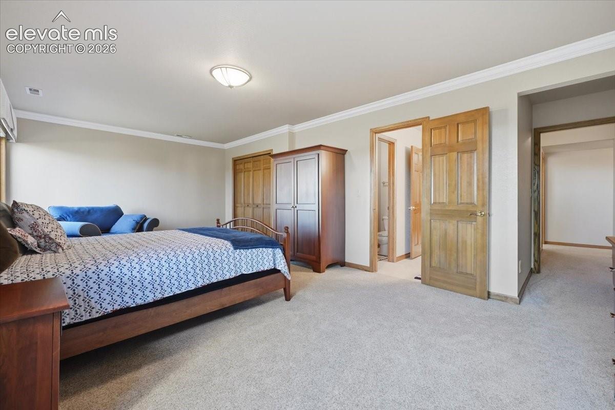 Second basement bedroom.