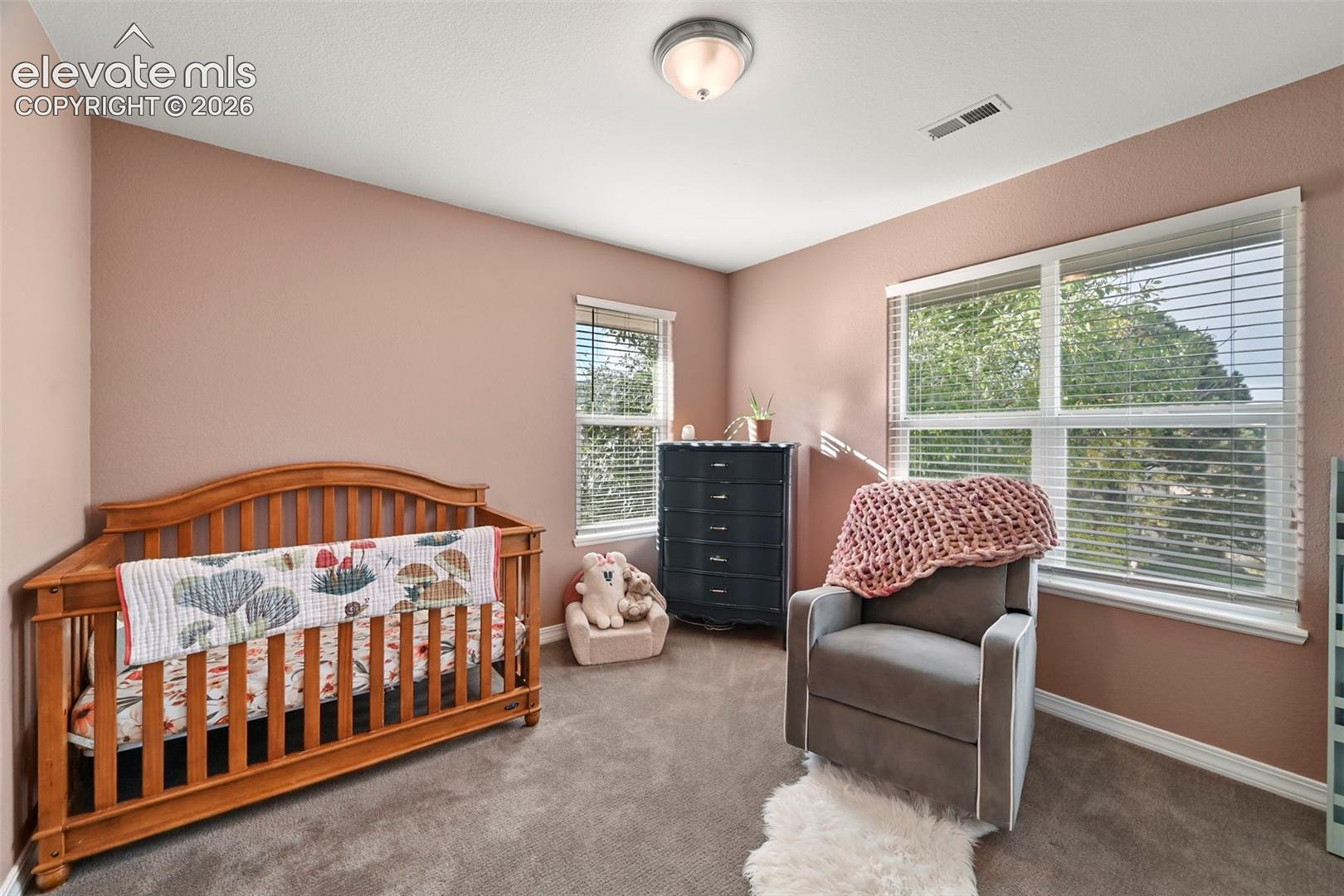 Plush carpet flooring, recessed ceiling light, multiple windows with blinds, and painted walls