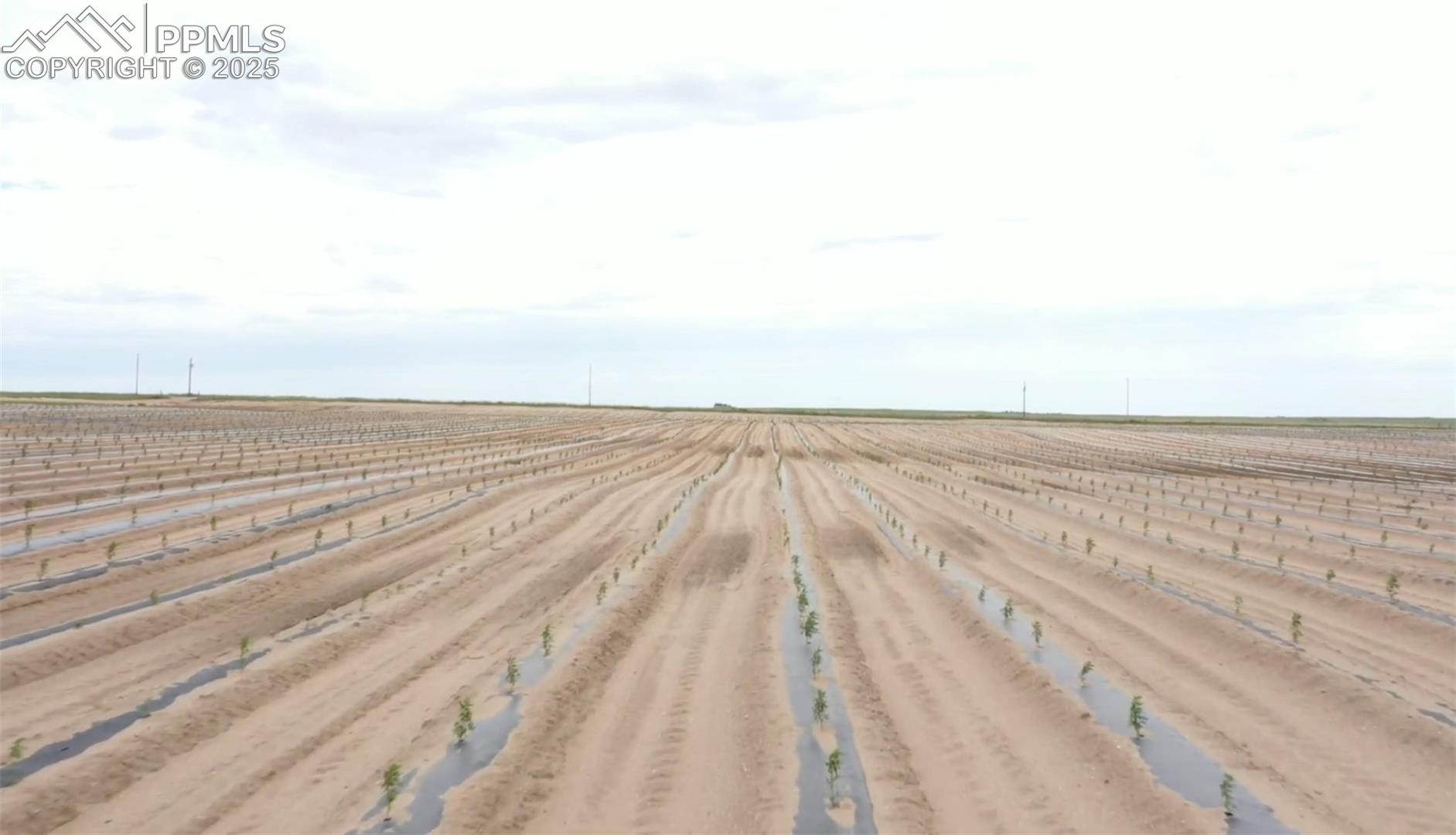 Fields when in production