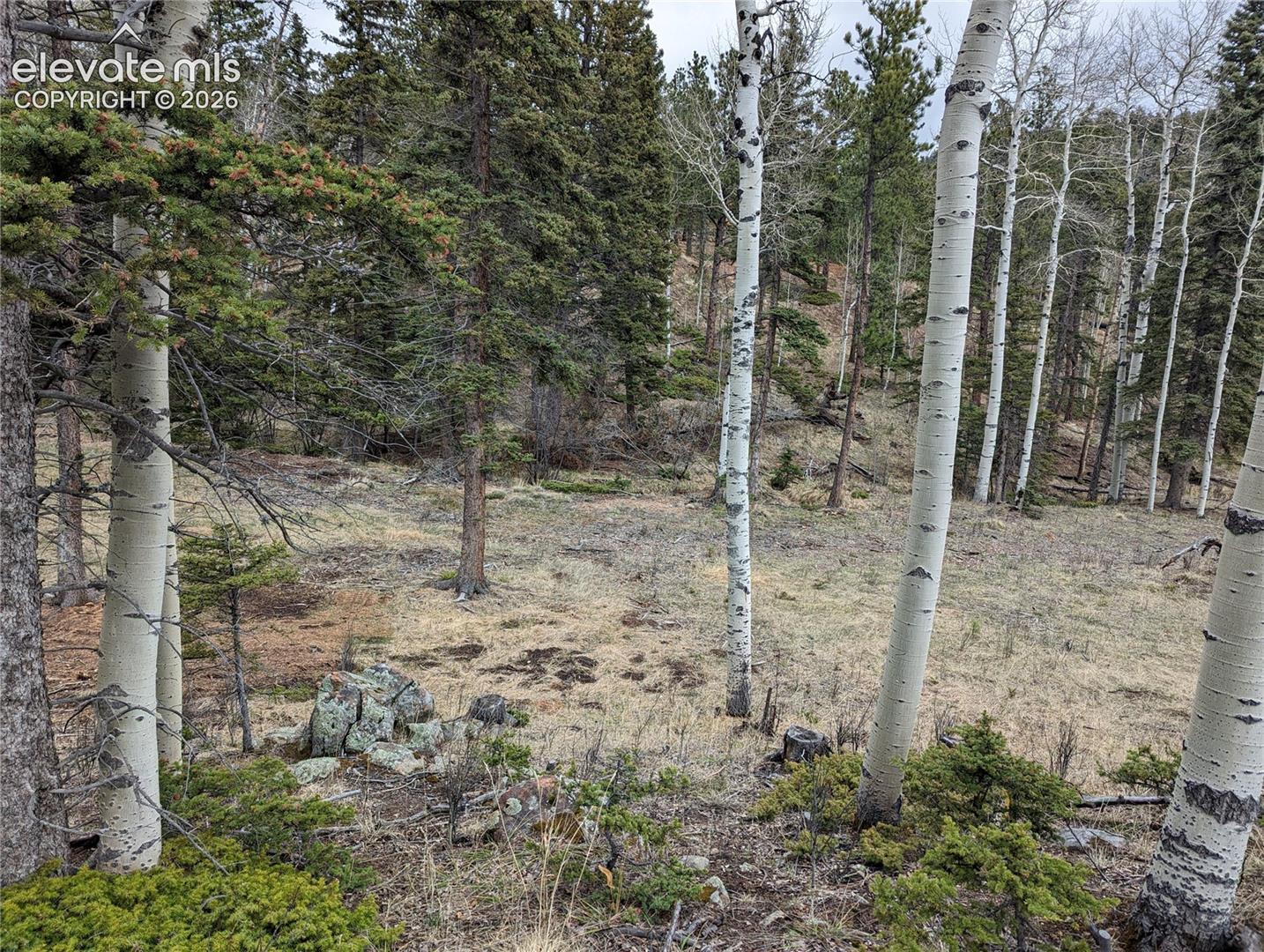 Photo 7 of 146 Waterfall Loop, Manitou Springs