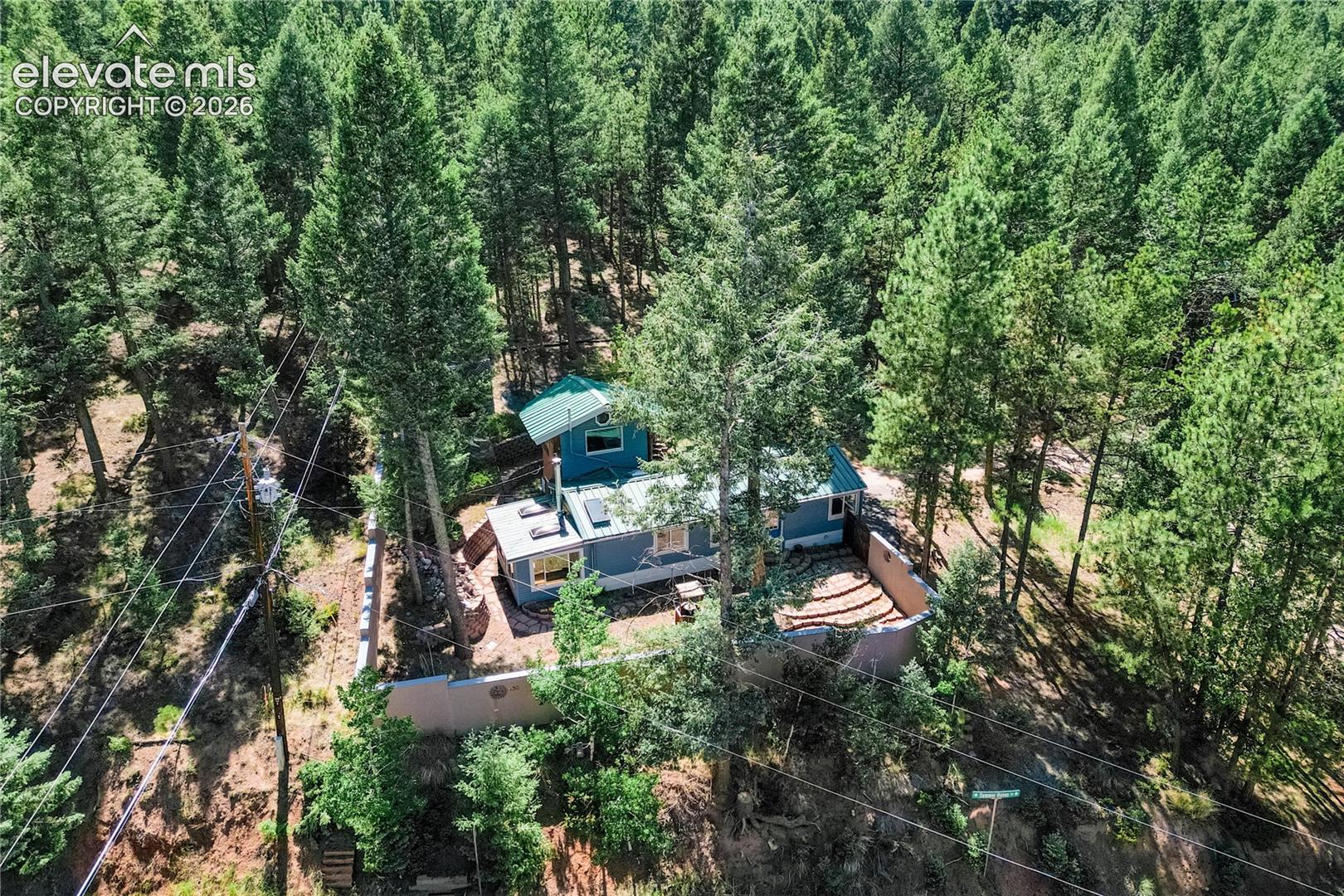 196 Summer Haven Dr, Woodland Park, CO 80863
