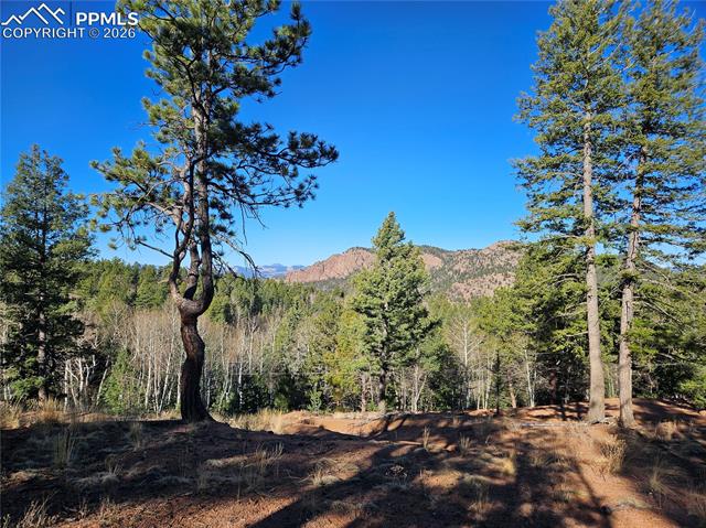 Photo 11 of 652 Derby Drive, Cripple Creek