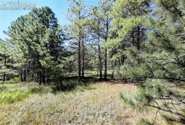 Photo 9 of 18400 Black Squirrel Road, Colorado Springs