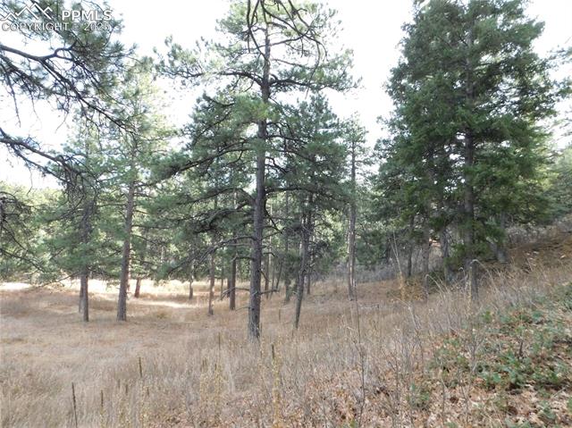 Photo 19 of 8055 Acoma Drive, Larkspur