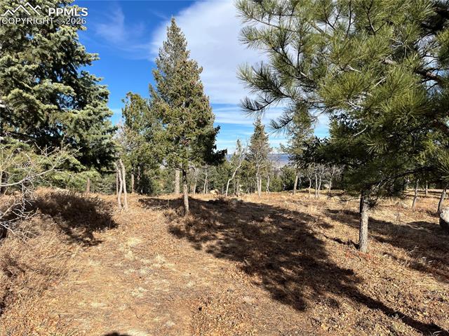 Photo 12 of 920 Grey Mountain Point, Colorado Springs