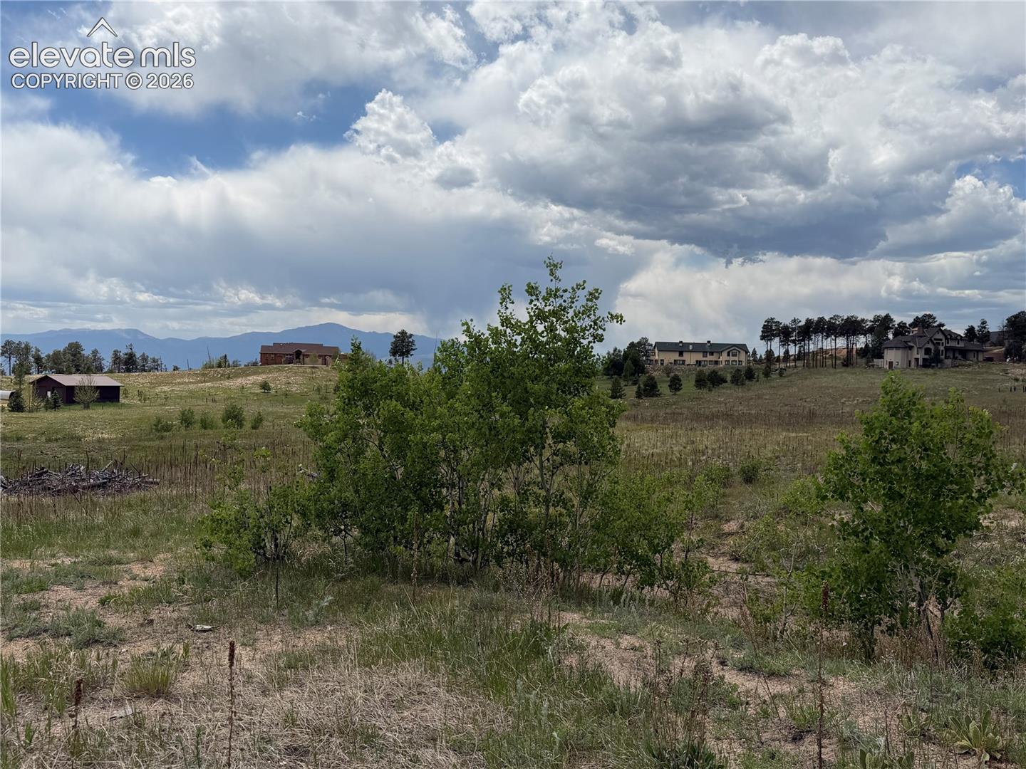 Photo 16 of 13810 Wildoak Drive, Black Forest