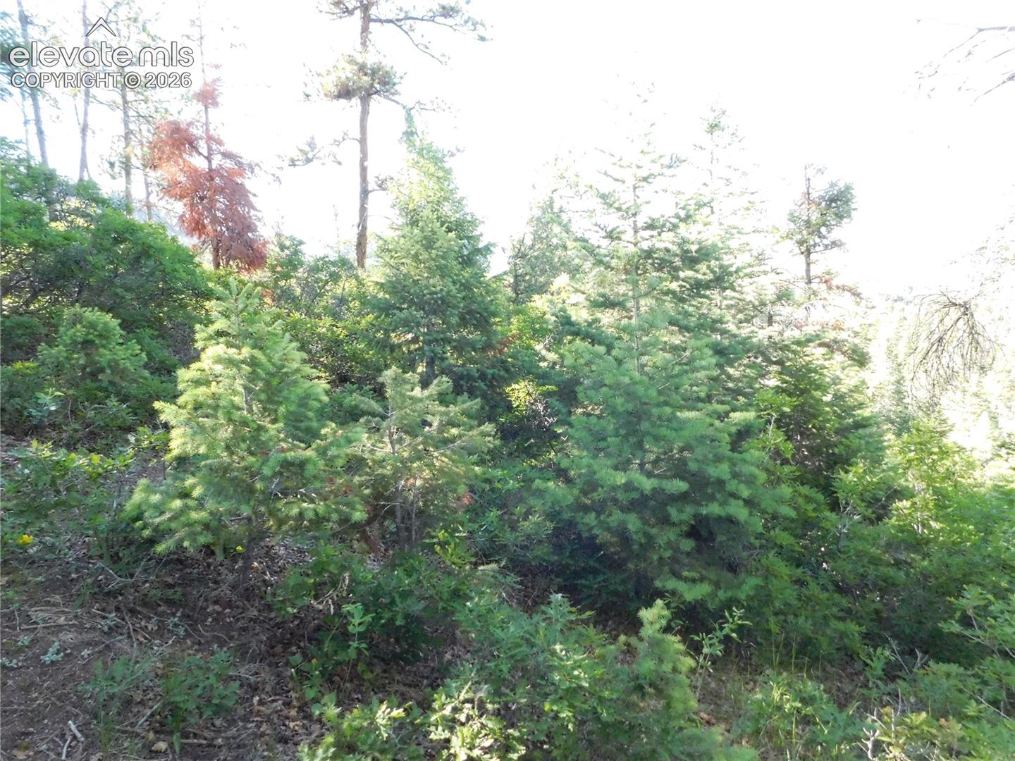Photo 11 of Lot 11 Cheyenne Drive, Larkspur