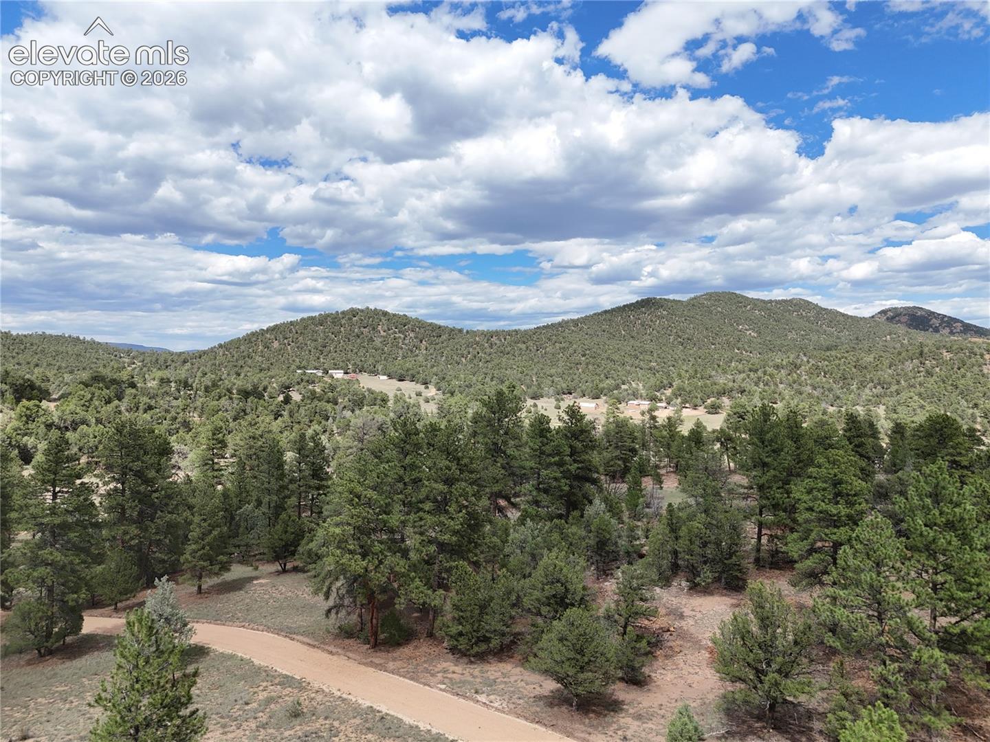 Expansive mountainous terrain with established trees and natural foliage