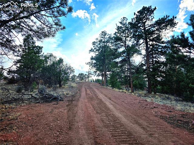 East driveway