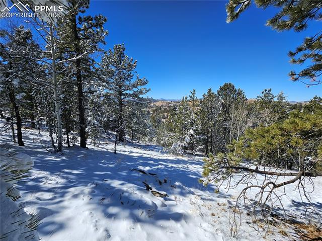Photo 16 of 829 Princess Road, Cripple Creek