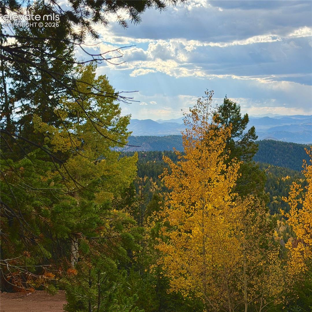 Mountainous backdrop with expansive tree coverage