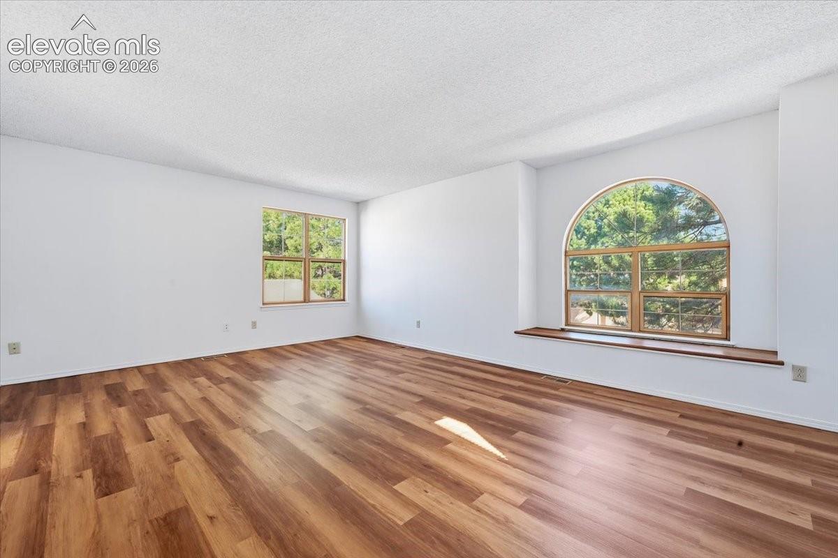 Primary suite with an arched window and new LVP flooring at , Colorado Springs, CO.