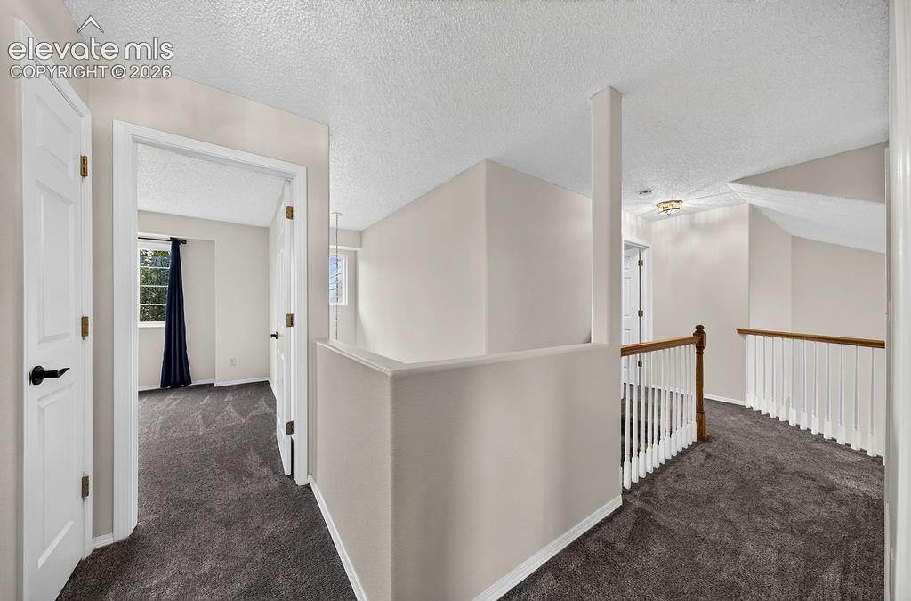 Photo 37 of 9271 Wolf Pack Terrace, Colorado Springs