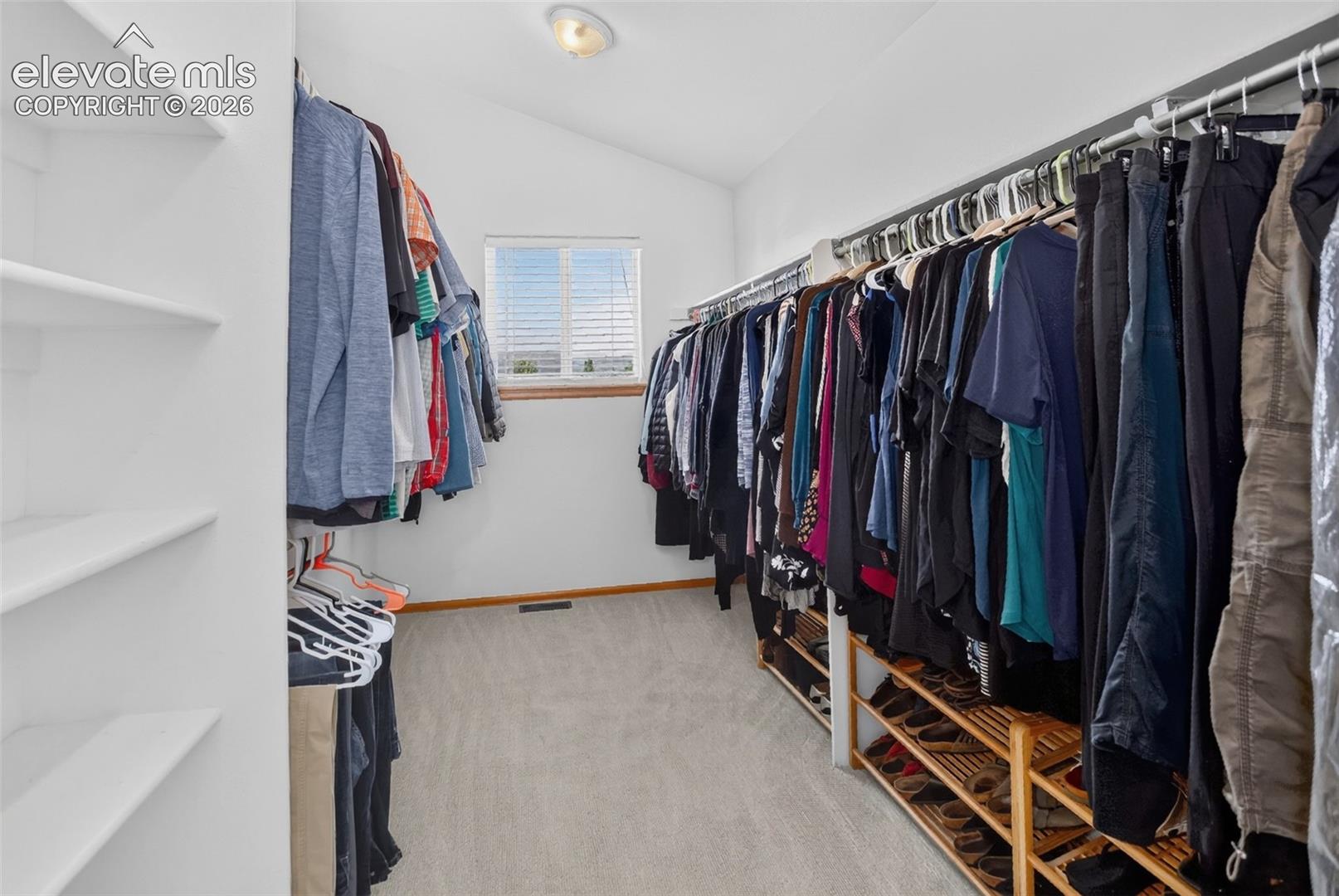 Walk-in closet featuring built-in shelving, extensive hanging rods, a window with blinds, and light-toned carpet flooring